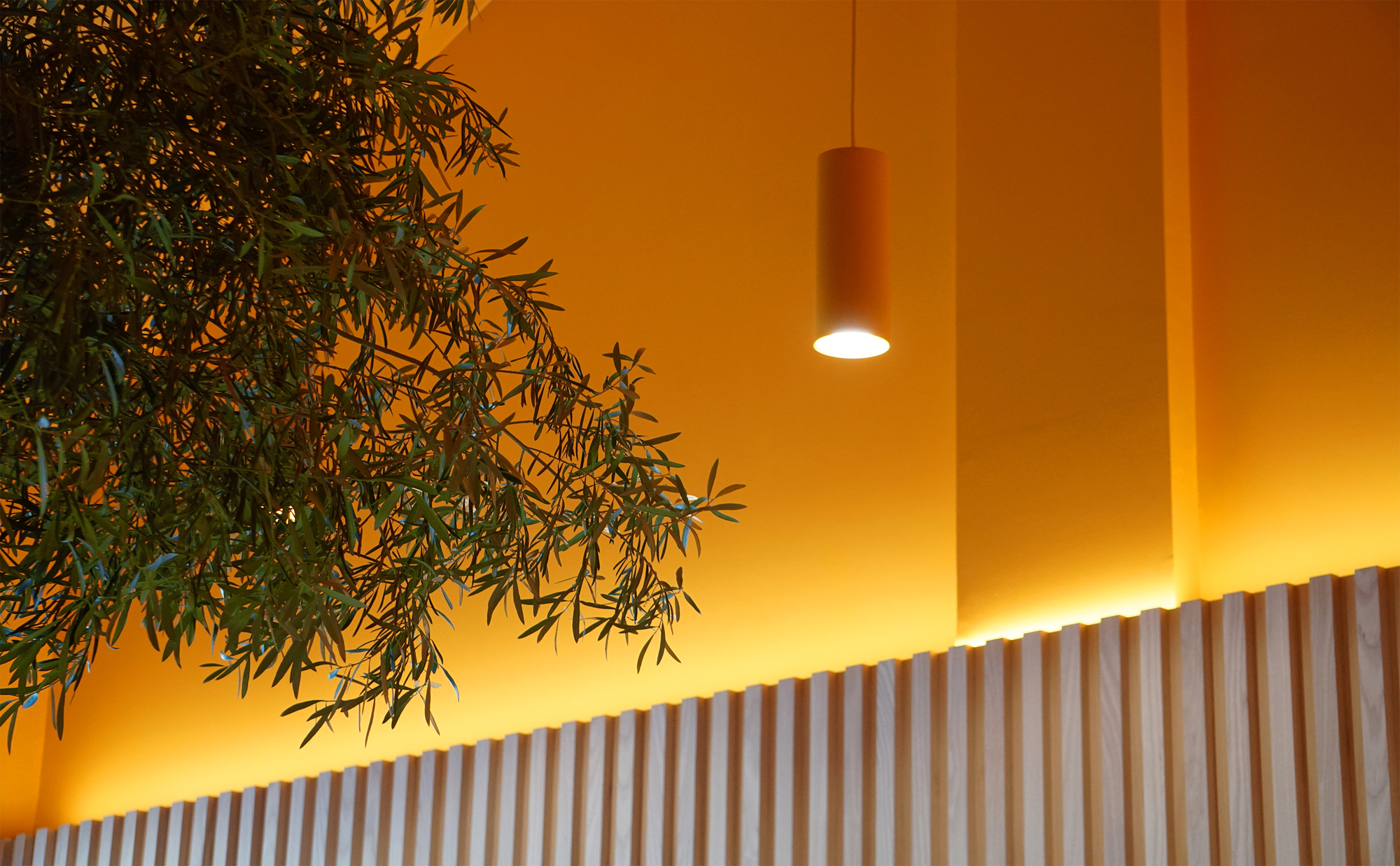 古迪圣莫妮卡商店丨美国丨Sheft Farrace-24