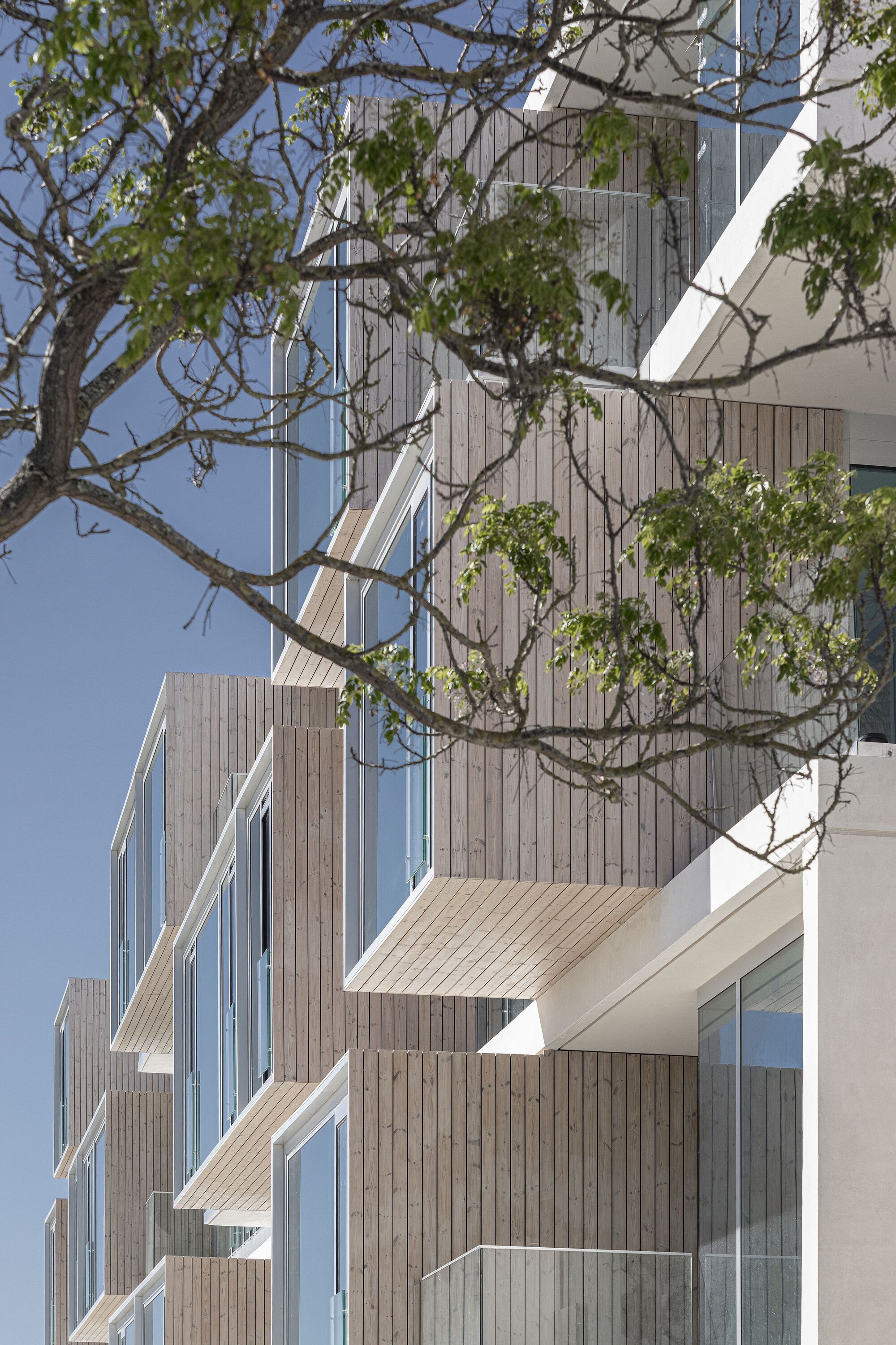 奥里宗特公寓丨葡萄牙丨RVdM Arquitectos-24