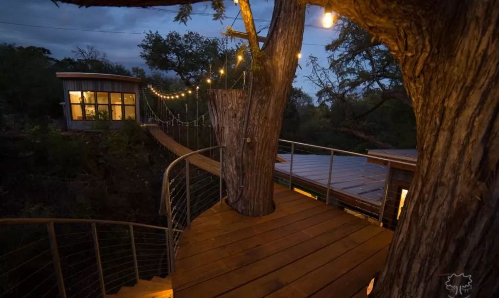 德克萨斯州横溪树屋 | 自然与艺术的完美融合-17