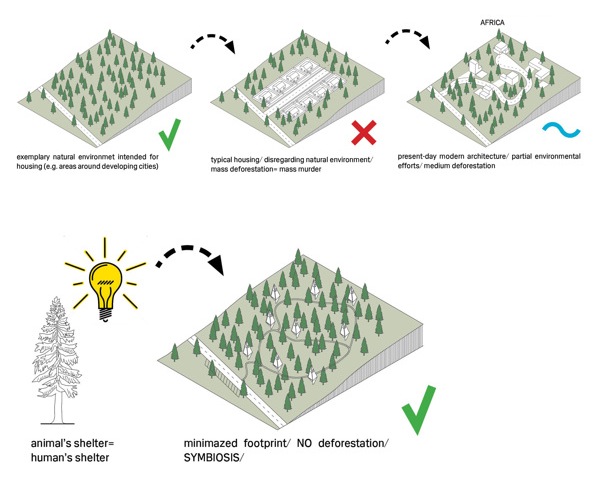 Residências ecológicas situadas em florestas  | Arquitêta-9