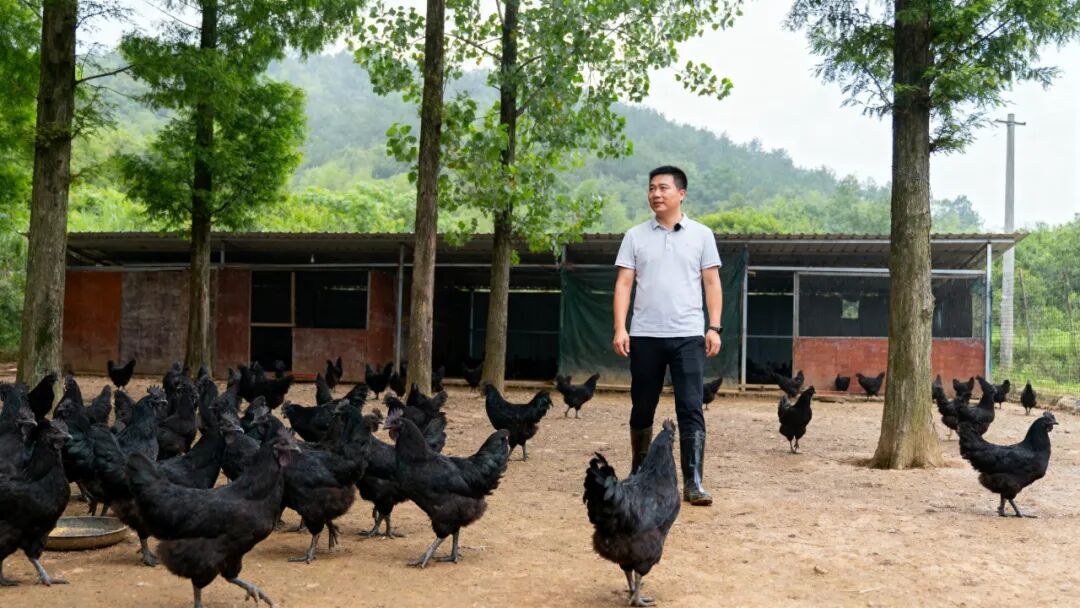 华中百亩“本草秘境”：三产融合营地创新规划与运营方案-36