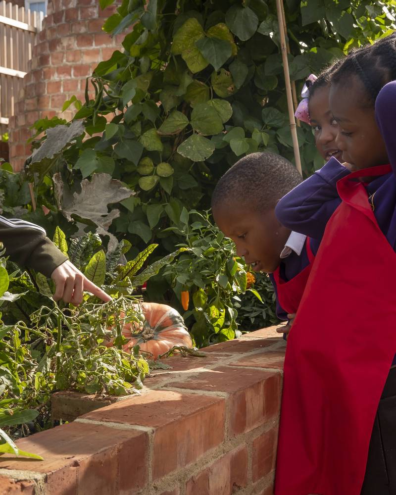 英国哈克尼食品学院-25