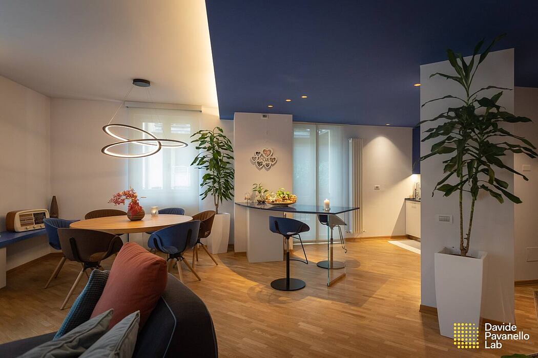 蓝色种类丨意大利丨Davide Pavanello Lab-2