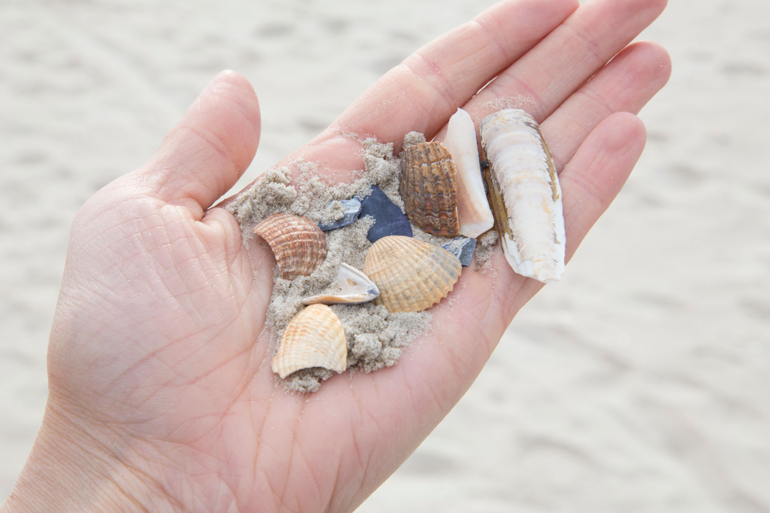 历史砖墙重塑丹麦 Fanø Bad 海滨小镇-14