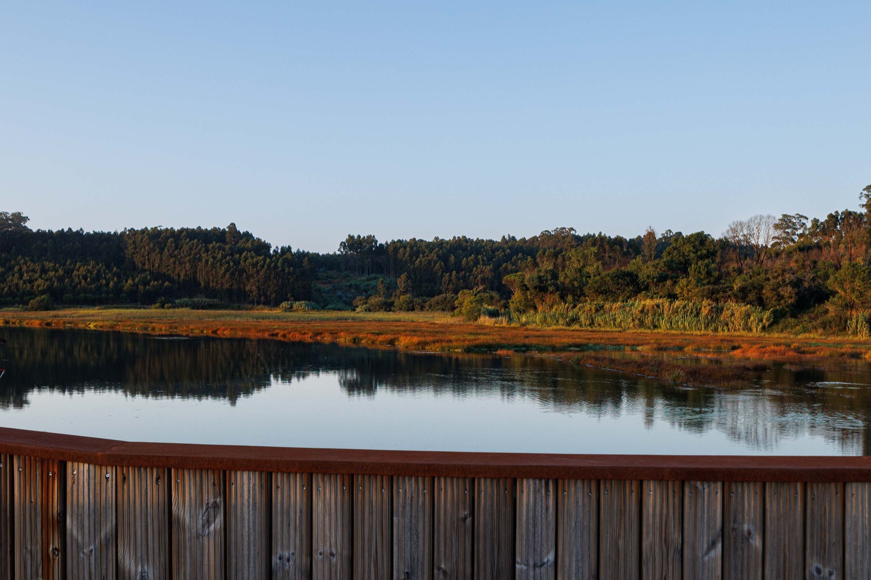 Fareja桥步行与自行车通道丨葡萄牙丨Rómulo Neto Arquitetos-59