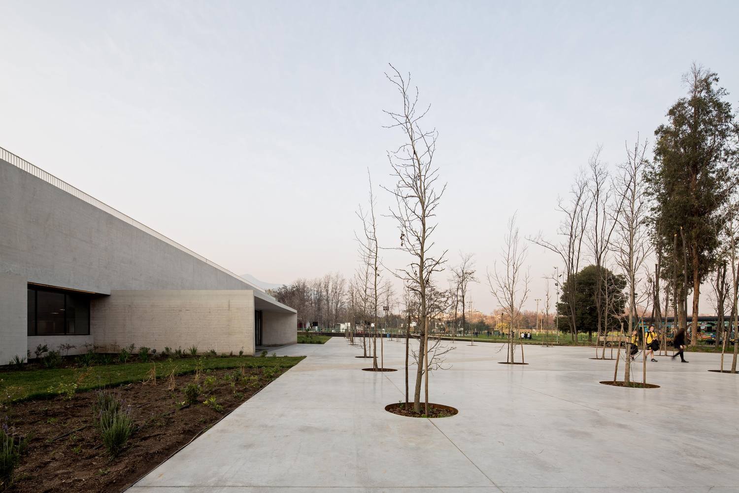 智利森林中的圣乔治学院体育馆-37