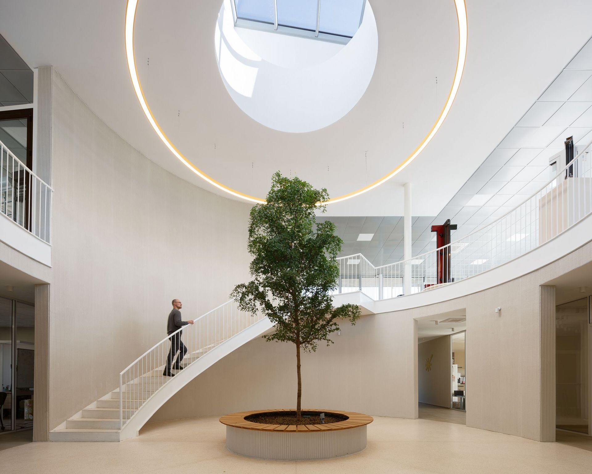 商业建筑“Sunce Marinković”丨ARIS d.o.o.建筑工程工作室-0