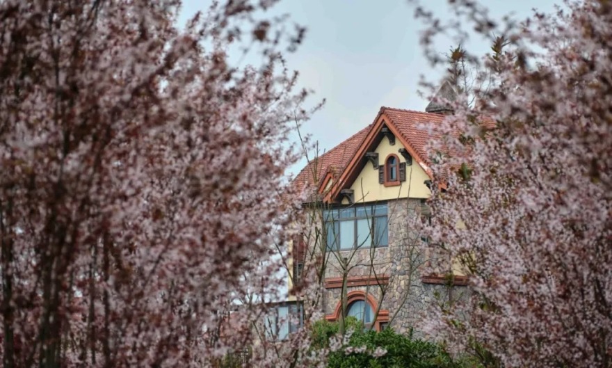 重庆中海·黎香湖别墅区景观丨中国重庆丨伯立森景观-9