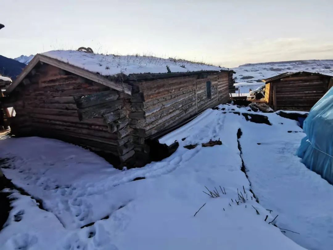 博仁设计 | 新疆民宿 融于自然的野奢木屋-37