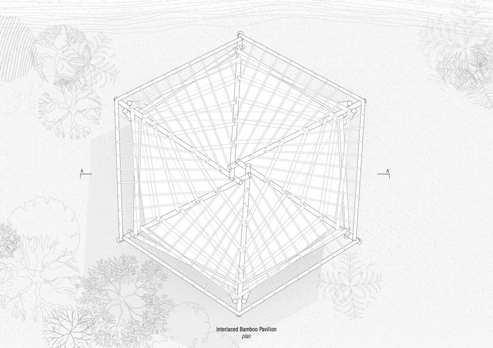 柬埔寨戈公红树林旅舍丨Estudio Cavernas-47