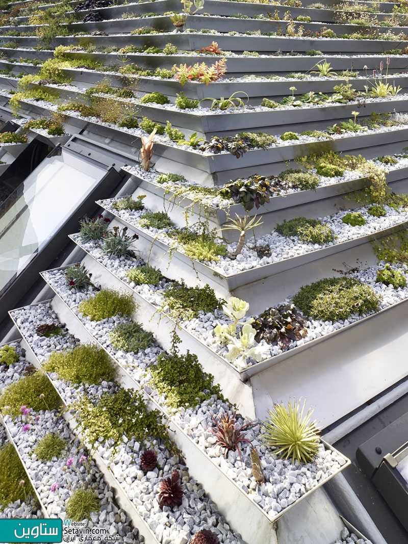 伦敦特色绿色屋顶房屋及工作室丨英国伦敦丨Hayhurst and Co-7