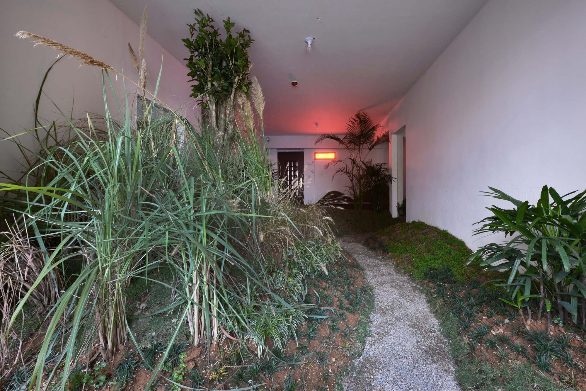 Devolution Park / Devolution-30