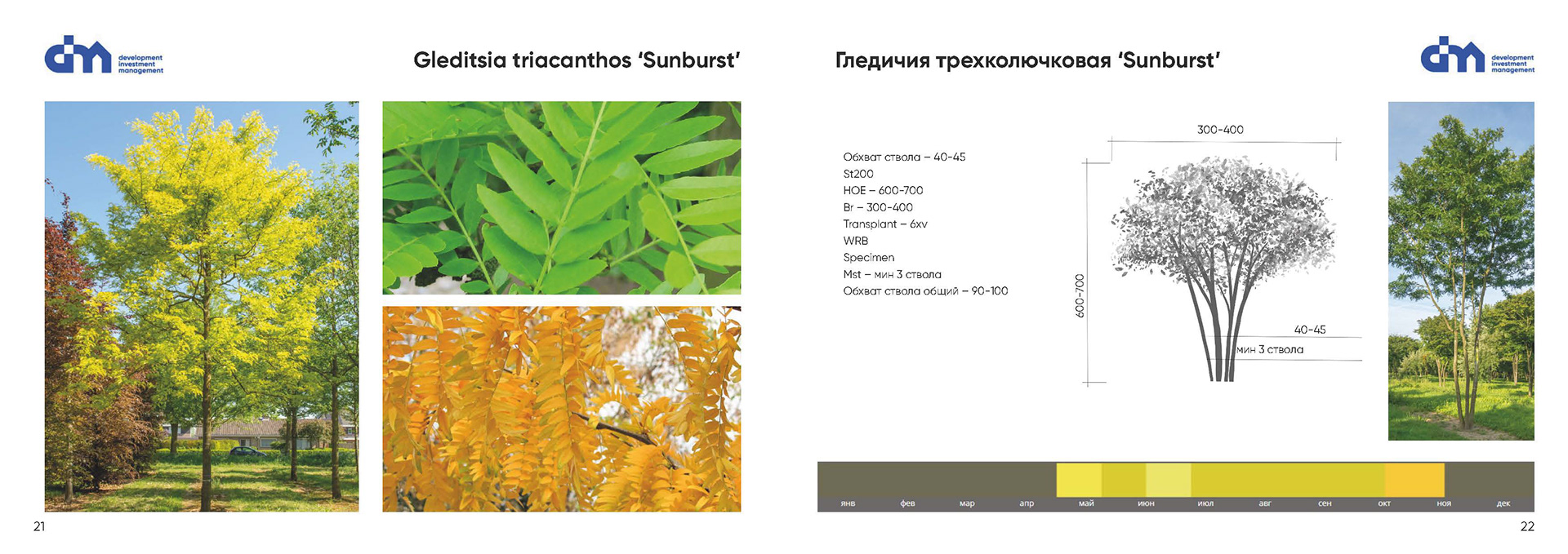 Greening standard for DIM Development-9