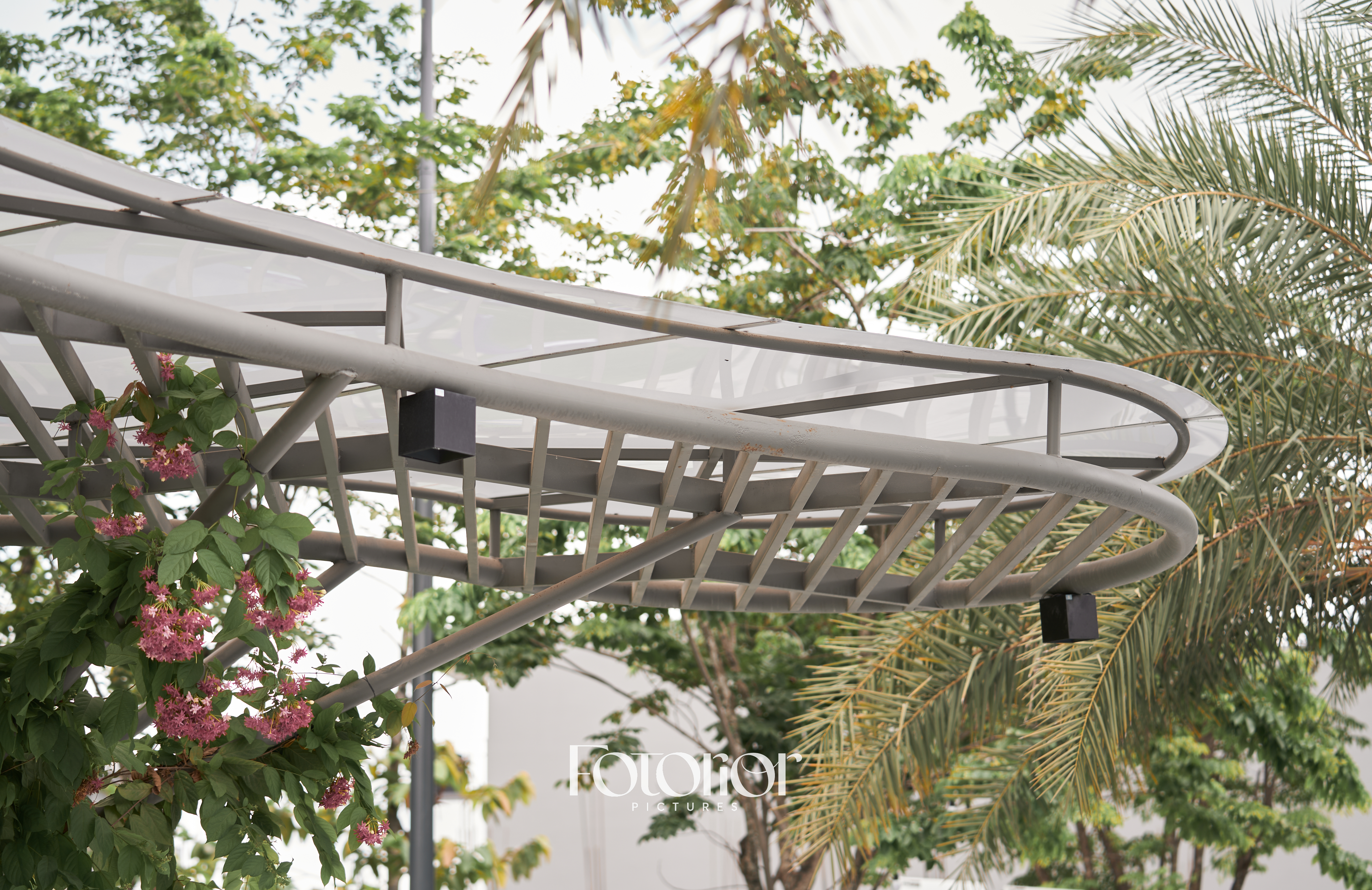 The STANDARD by ANGIA-10