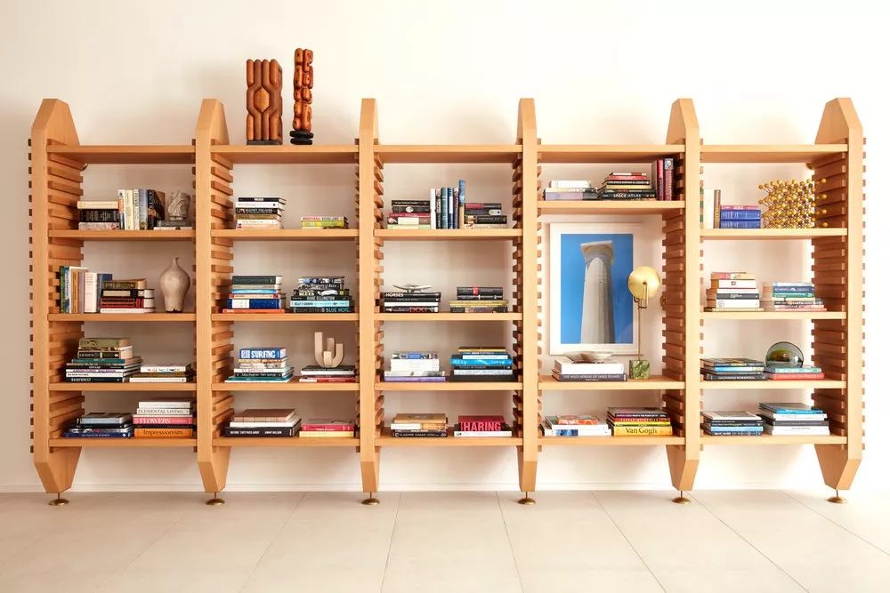 纽约曼哈顿高层住宅,杰米·布什的自然历史艺术设计-19