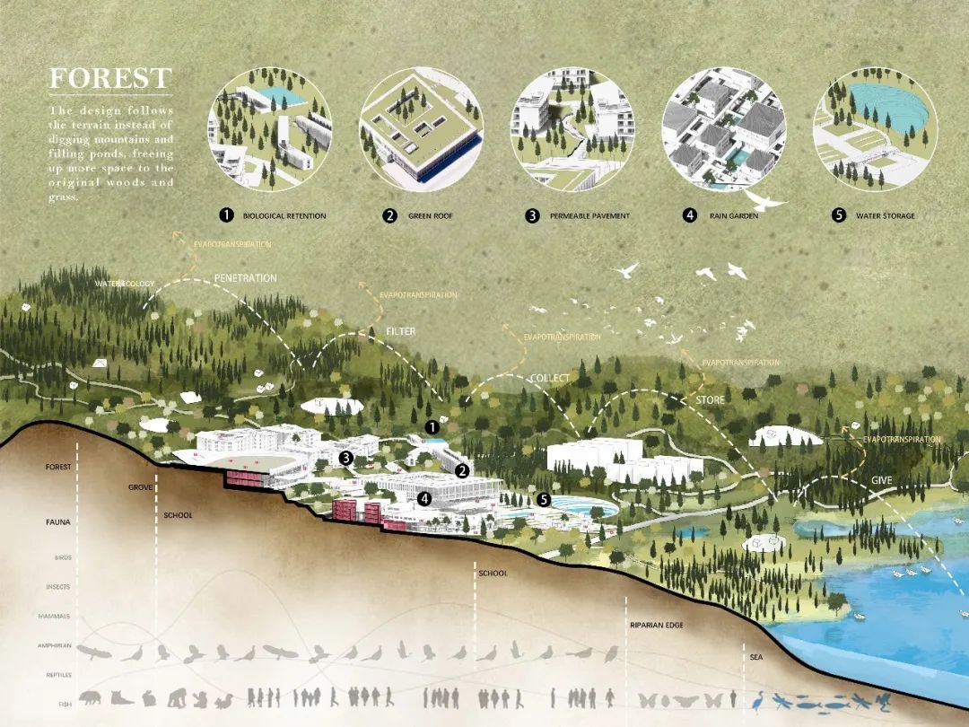 立木设计亮相 UIA2020，分享极致自然与树林漫步的两个新项目-65