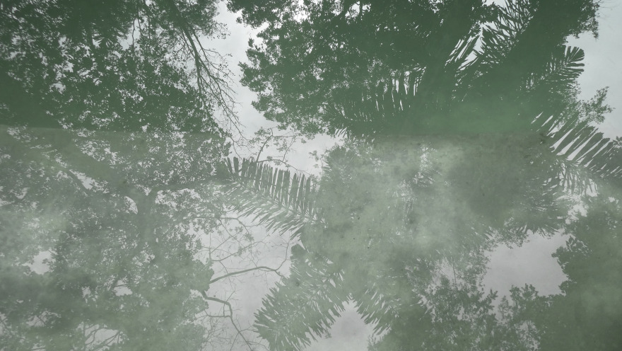 开阔的丛林小屋丨哥斯达黎加-7