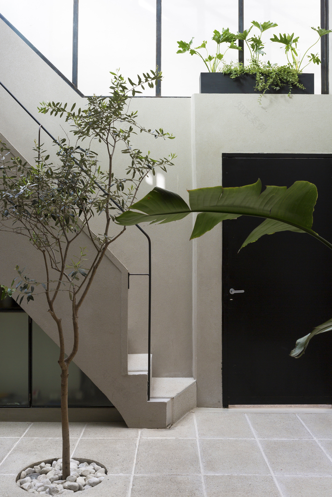 中庭公寓的透明改造-35