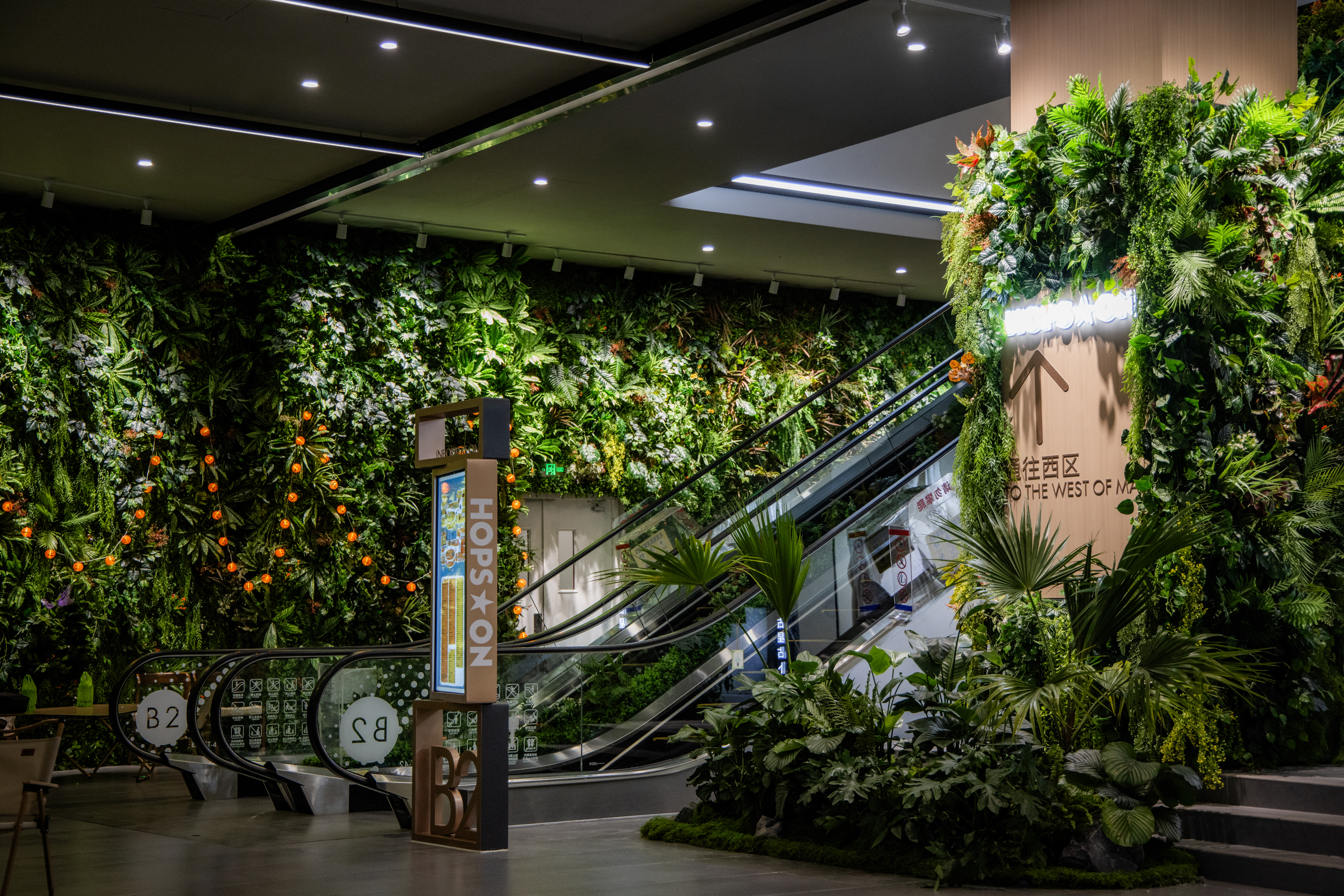 北京超极合生 迷失在花鸟鱼虫市场里的年轻人。-10