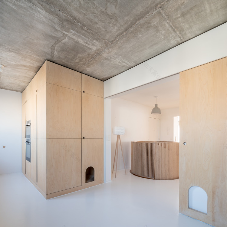 巴黎双层公寓,猫咪之家与城市景观的完美融合-2