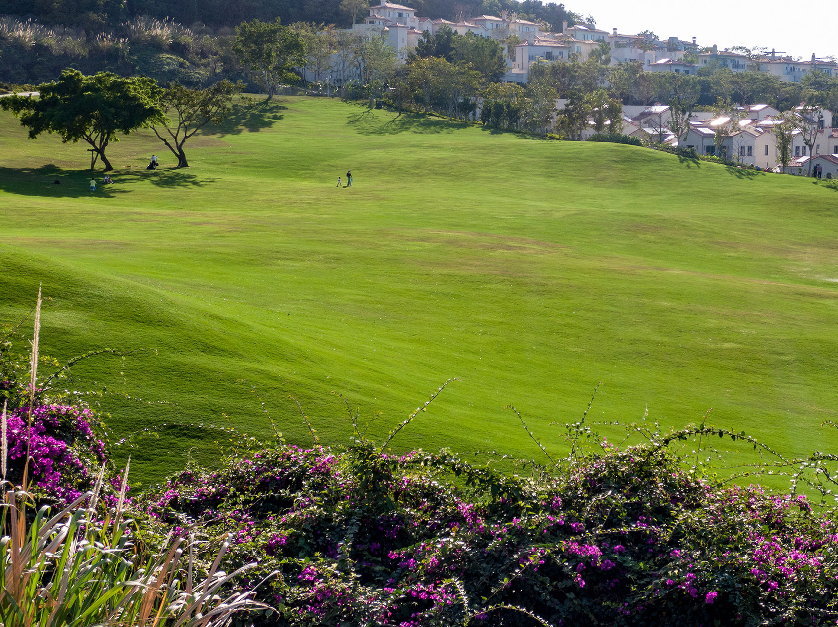 阿那亚三亚南花园丨中国三亚丨Z’scape致舍景观-294