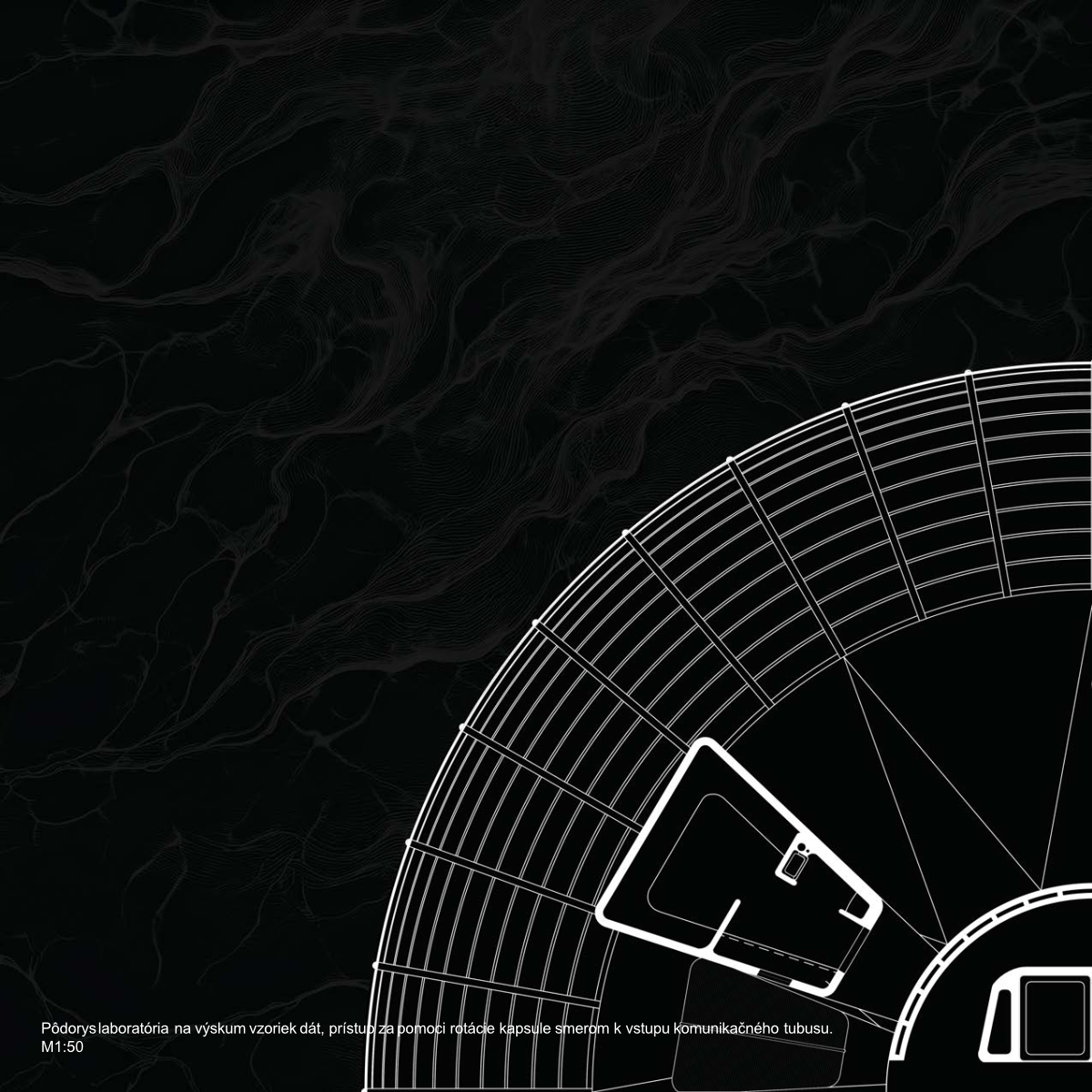 水上数据库项目-11