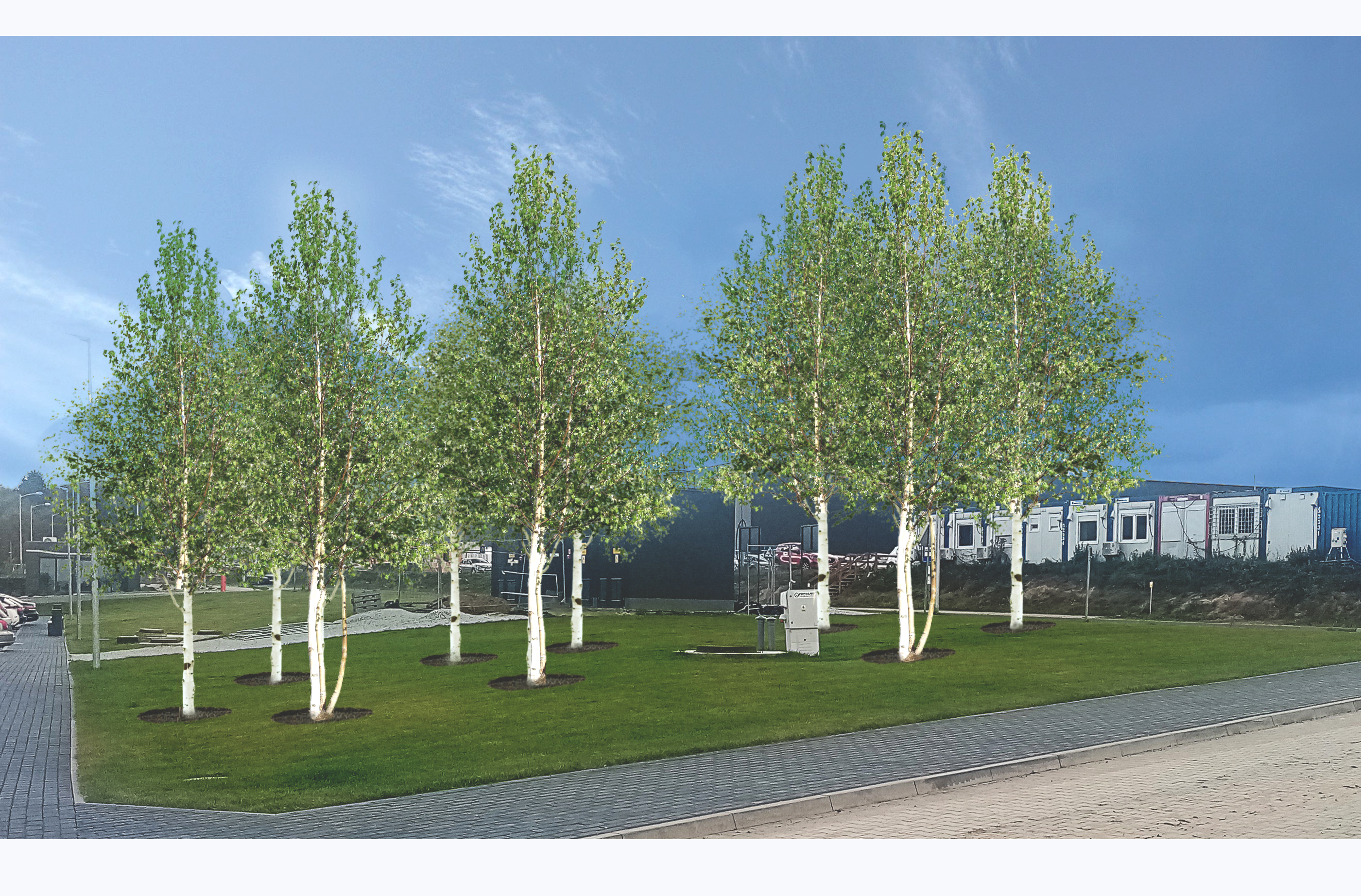 树木种植可视化展示丨mgr inż. arch. kraj. Olga Bobowska-6