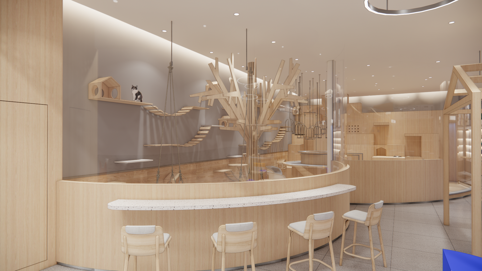 江西九江猫咖宠物店丨中国九江丨群建装饰-9