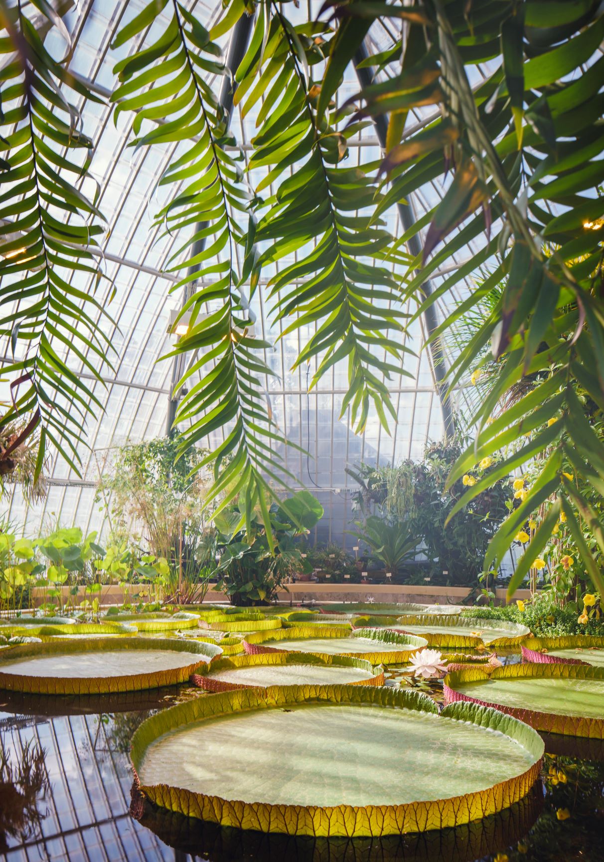 丨瑞典斯德哥尔摩-35