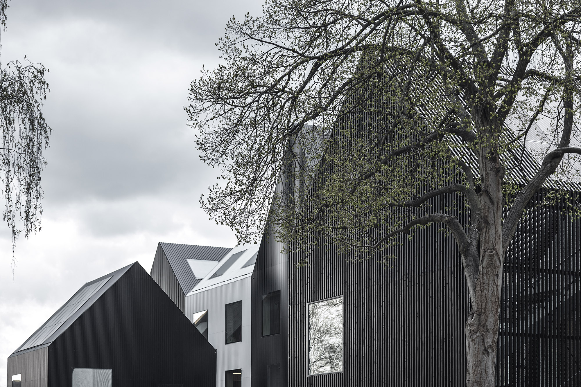 Frederiksvej幼儿园，丹麦 / COBE-23