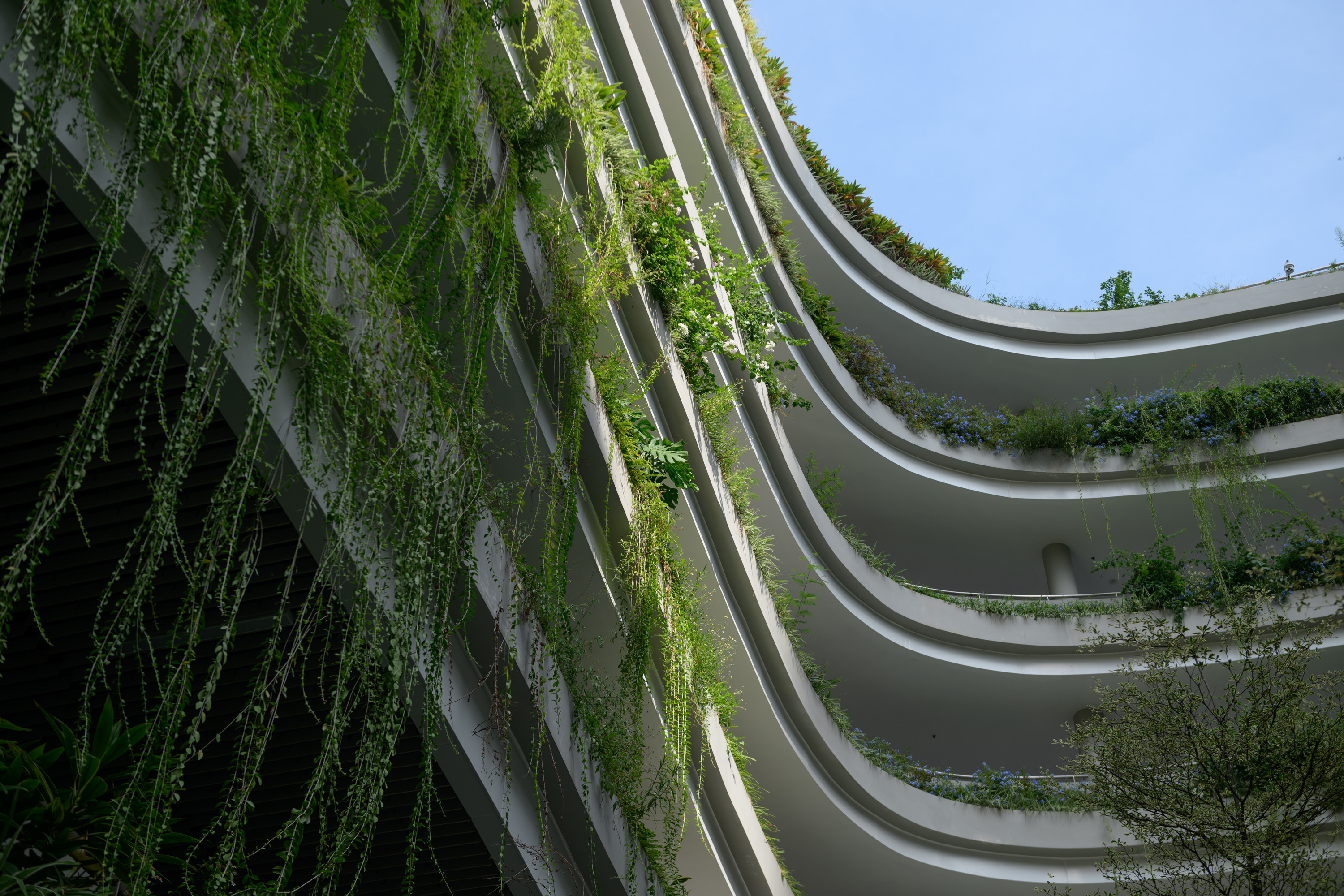 红岭教育集团 华富实验学校丨中国深圳丨大小景观,深圳市建筑设计研究总院有限公司,广州天泓-54