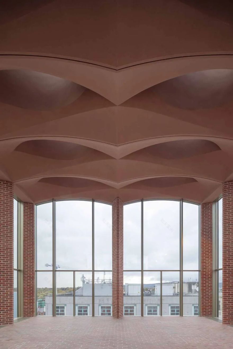 国际橄榄球体验丨爱尔兰利默里克丨Niall Mclaughlin Architects-5