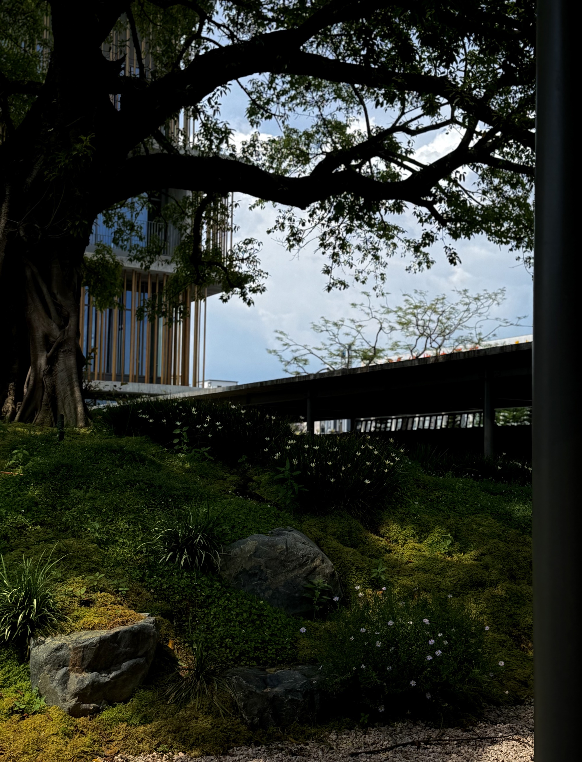 宝华智造产业园丨中国佛山丨成都无囿景观设计有限公司,佛山至岸园林-14