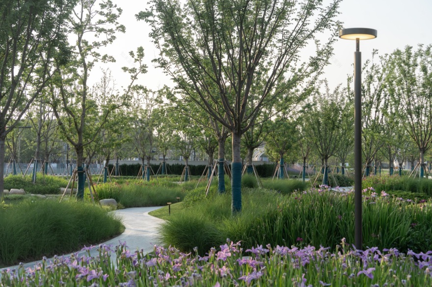 上海金泽镇培雅南路东侧绿地景观设计丨中国上海丨上海联创设计集团股份有限公司景观设计部-108