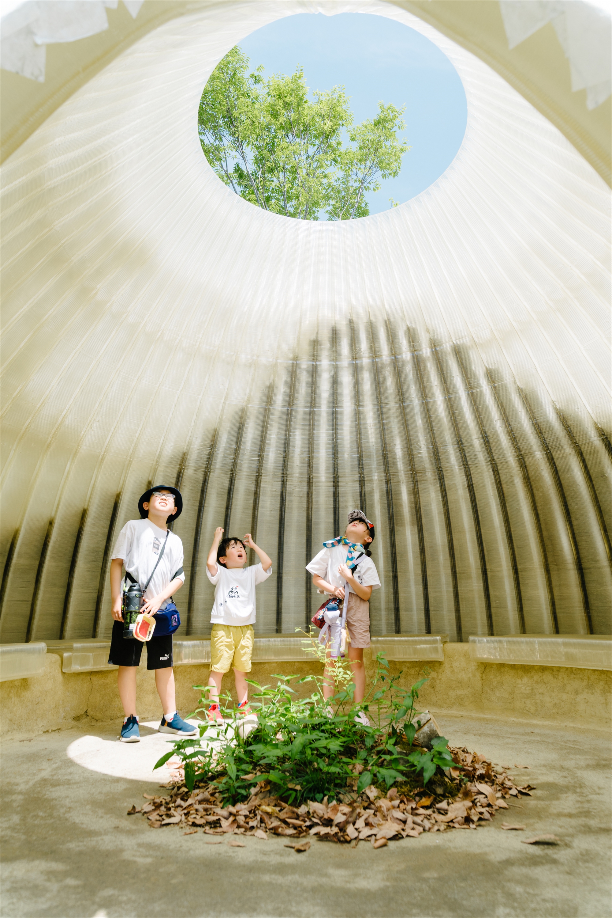 Osaka Expo 2025 Foresting Architecture Pavilion  / Takenaka Corporation-30