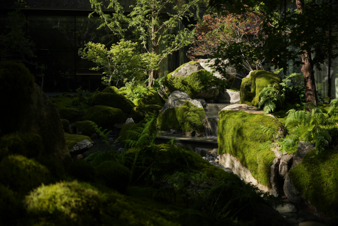 山风徐来——极野京韵的东方疗愈居所|金茂北京璞逸丰宜-53