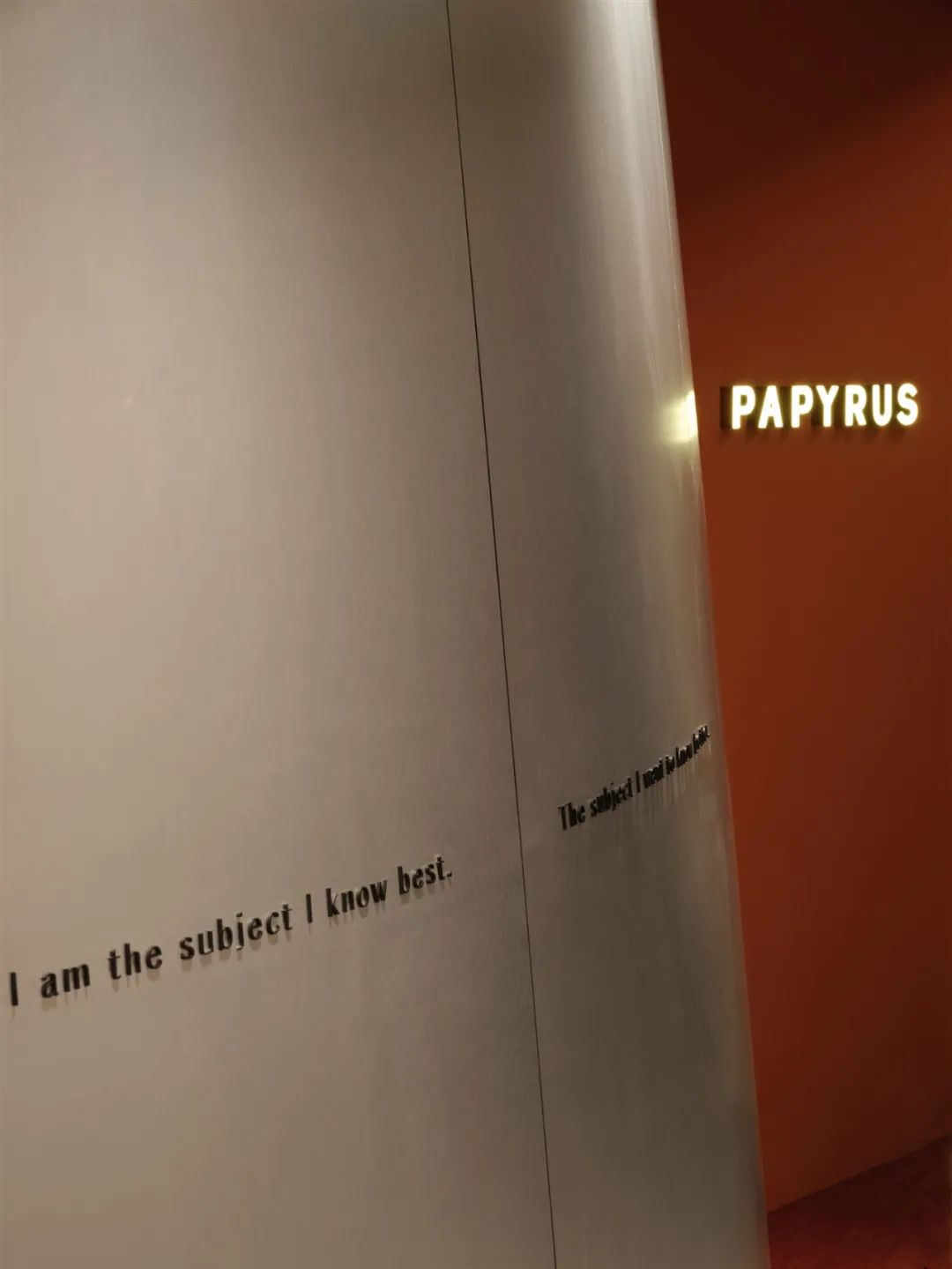 首尔 PAYRUS 首家高端眼镜精选店设计丨韩国首尔丨SPACE SIMJAE-17