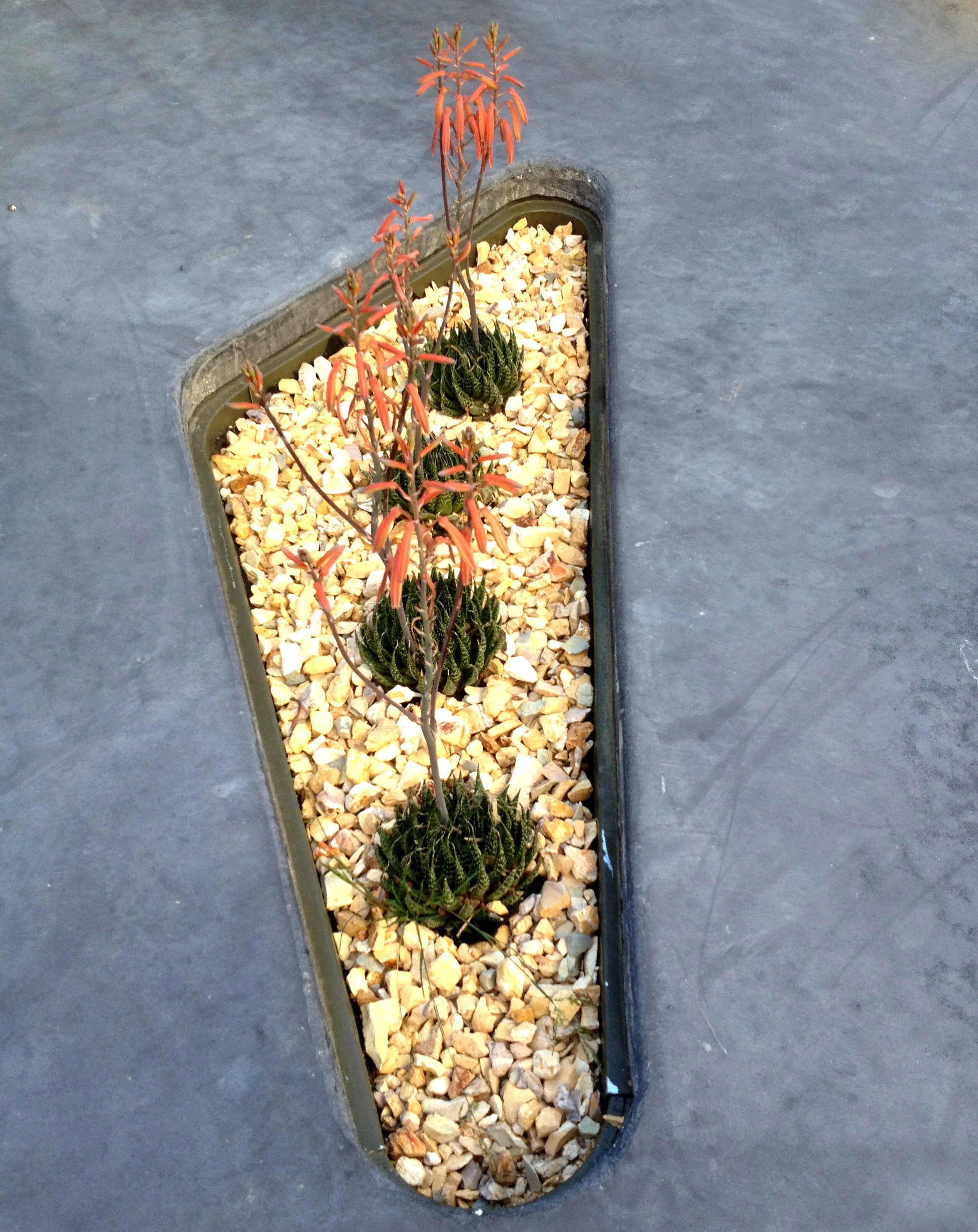 丨美国丨David Baker Architects-41