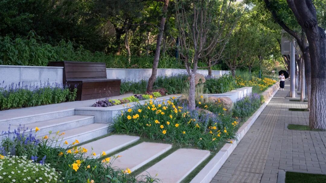 花开梨园·云景寻芳·2024年通州区花园式街区建设工程（设计）丨中国通州丨笛东规划设计(北京)股份有限公司-49