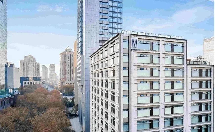 2025年国内50家重磅酒店丨中国上海丨Moinard Bētaille-79