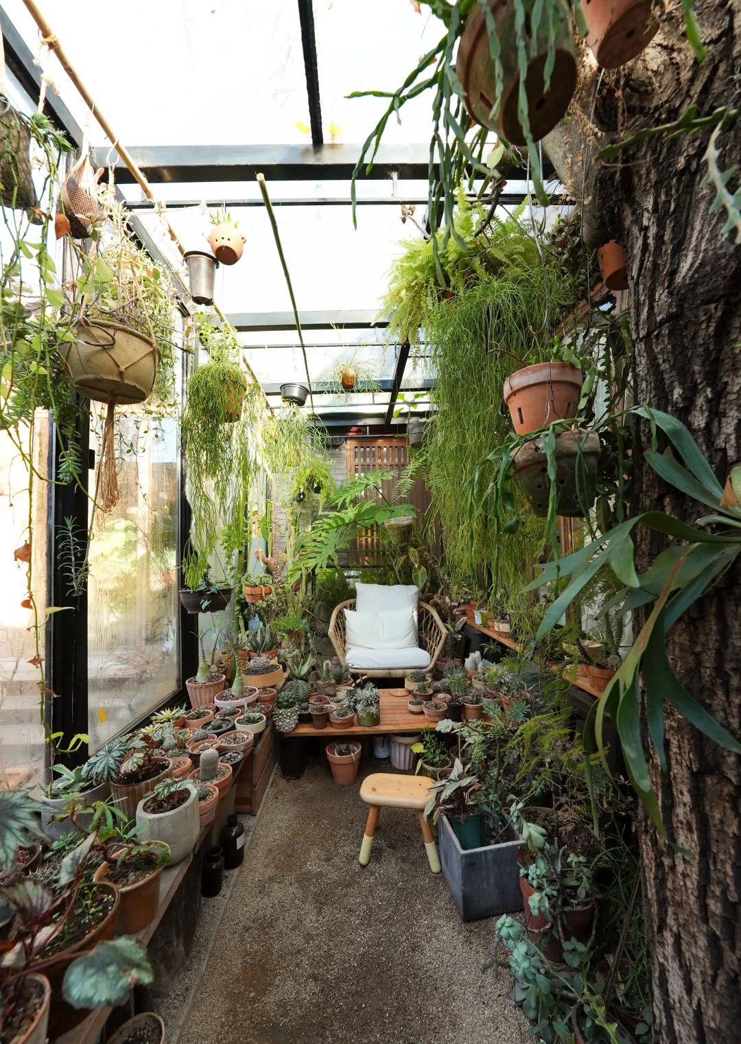 绿意盎然之家 · 北京四合院改造设计丨中国北京-68