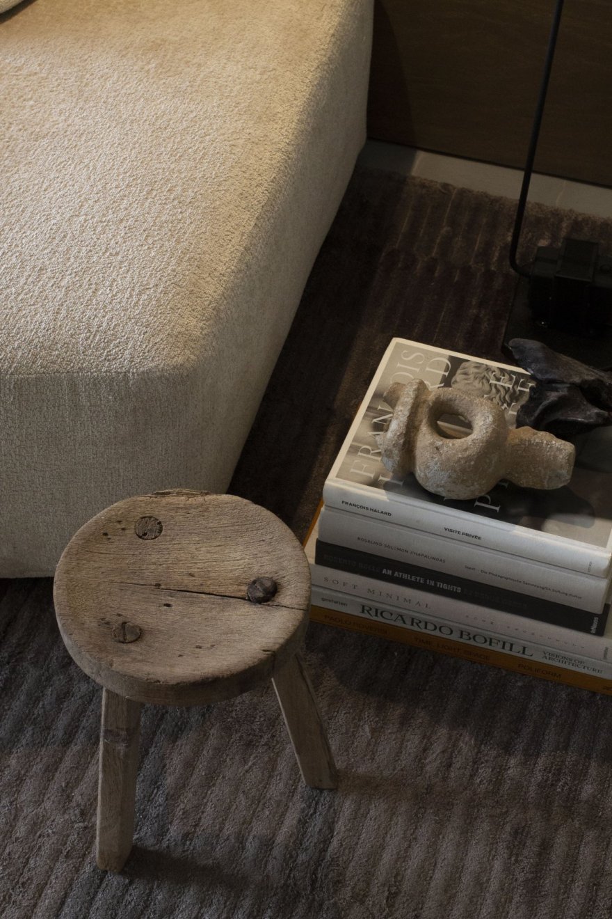 Casa Argentina 2 住宅丨墨西哥丨Aagnes-11