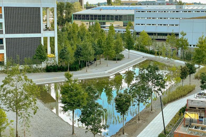 WolkenWerk 景观设计丨瑞士苏黎世丨mavo gmbh-3