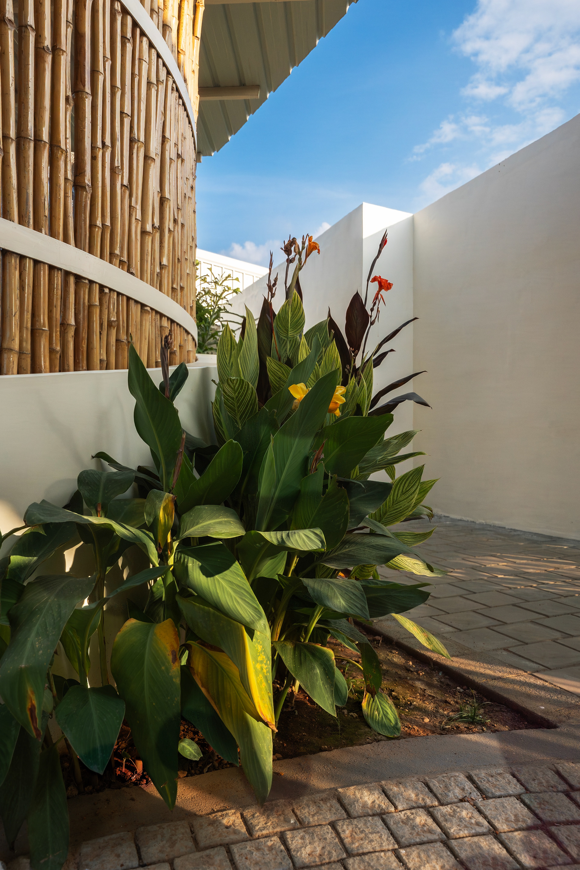 露台餐厅丨KARTHIK ARCHITECTS-26