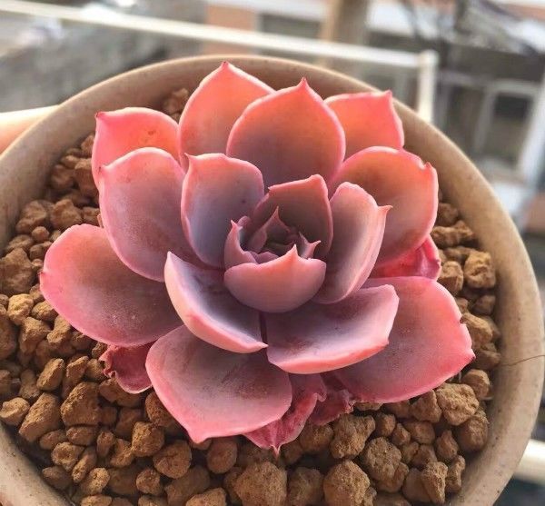 牡丹里 90㎡美式风格装修丨尚居装饰-9