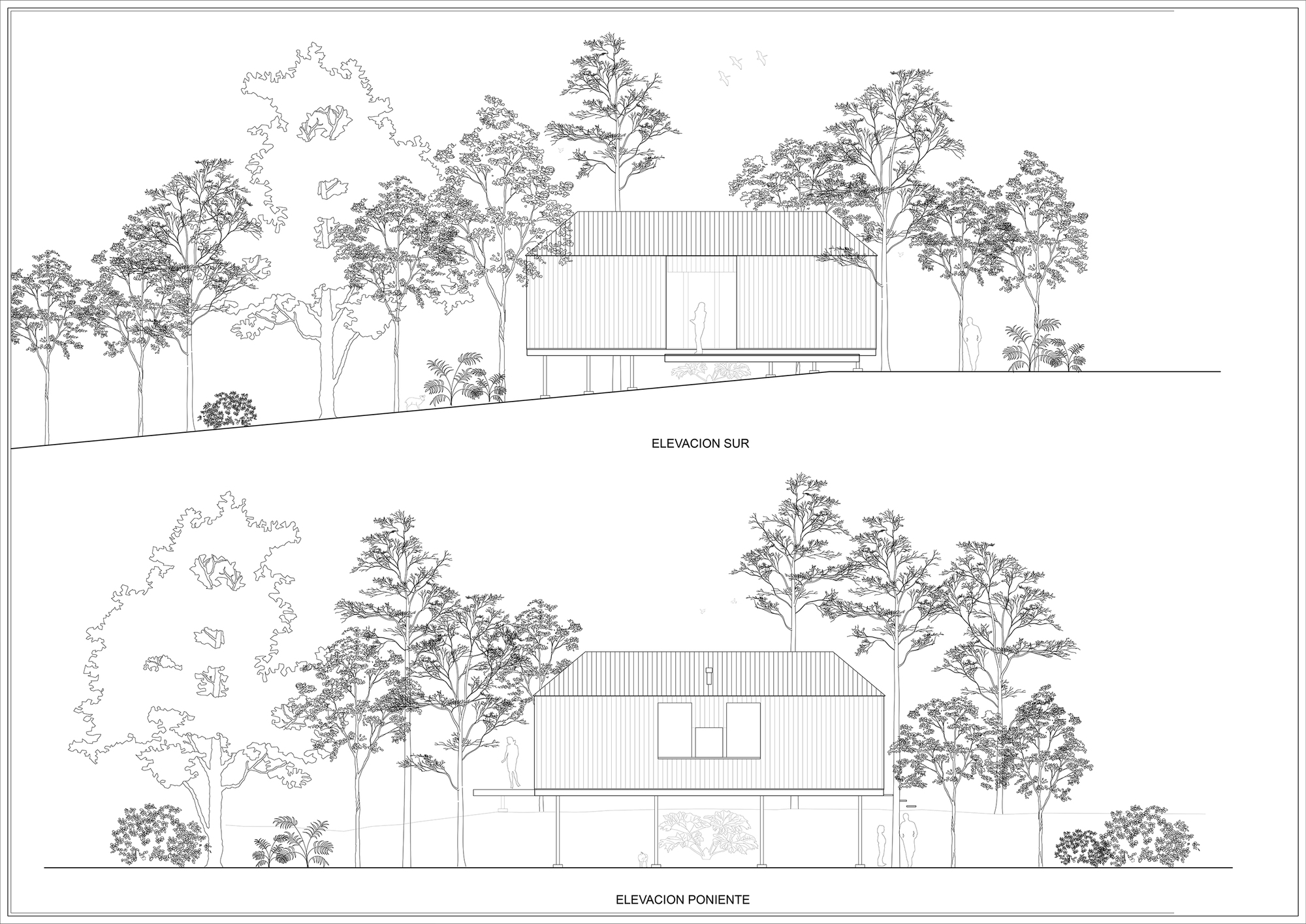 承雨池小屋丨智利丨SAA Arquitectura + Territorio-42