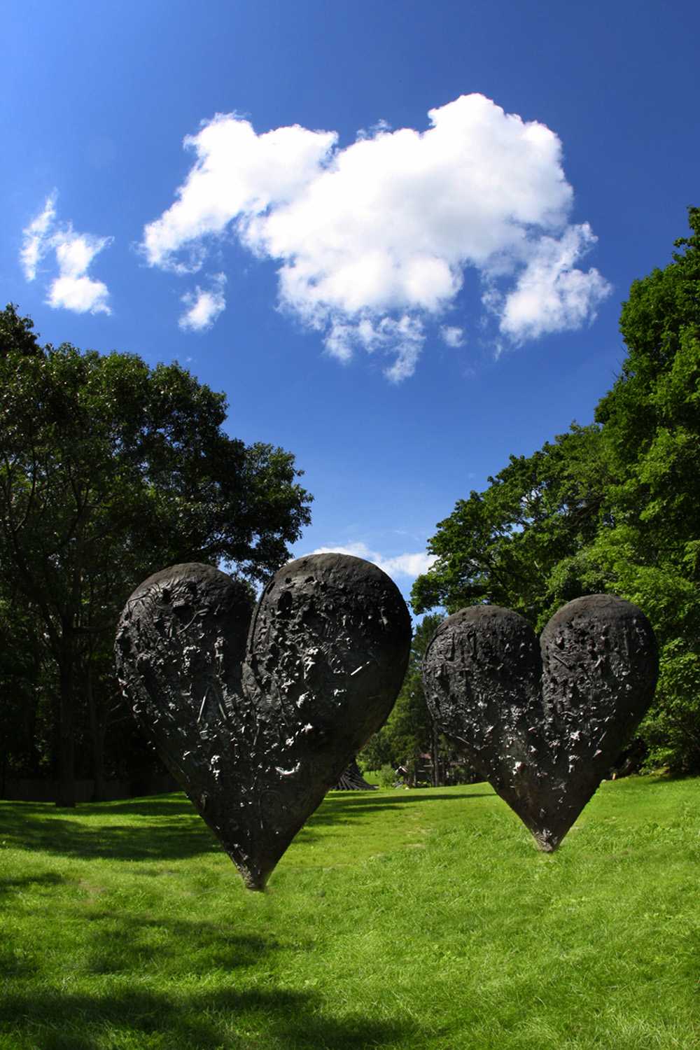 DeCordova 博物馆优雅户外艺术装置设计丨Halvorson Design 事务所-4