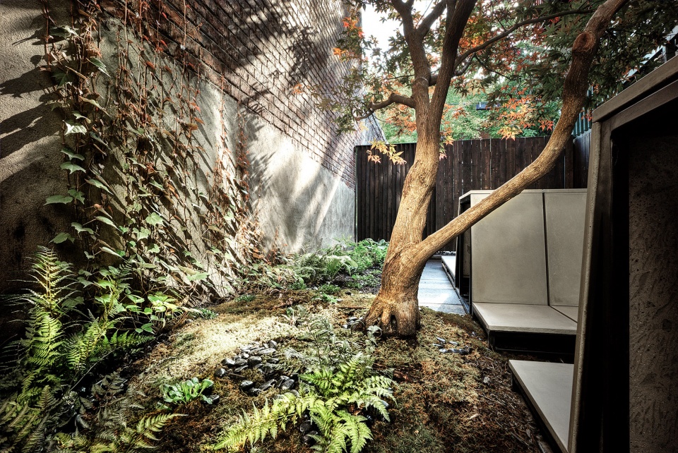 蒙特利尔独户住宅后院重建,MYTO 打造极简日式休闲空间-42