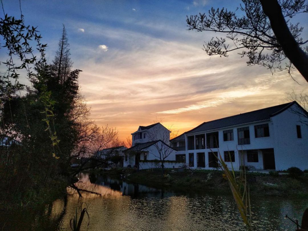 上海吴房村乡村振兴示范村整体规划,建筑,景观,风貌提升设计丨中国上海-140