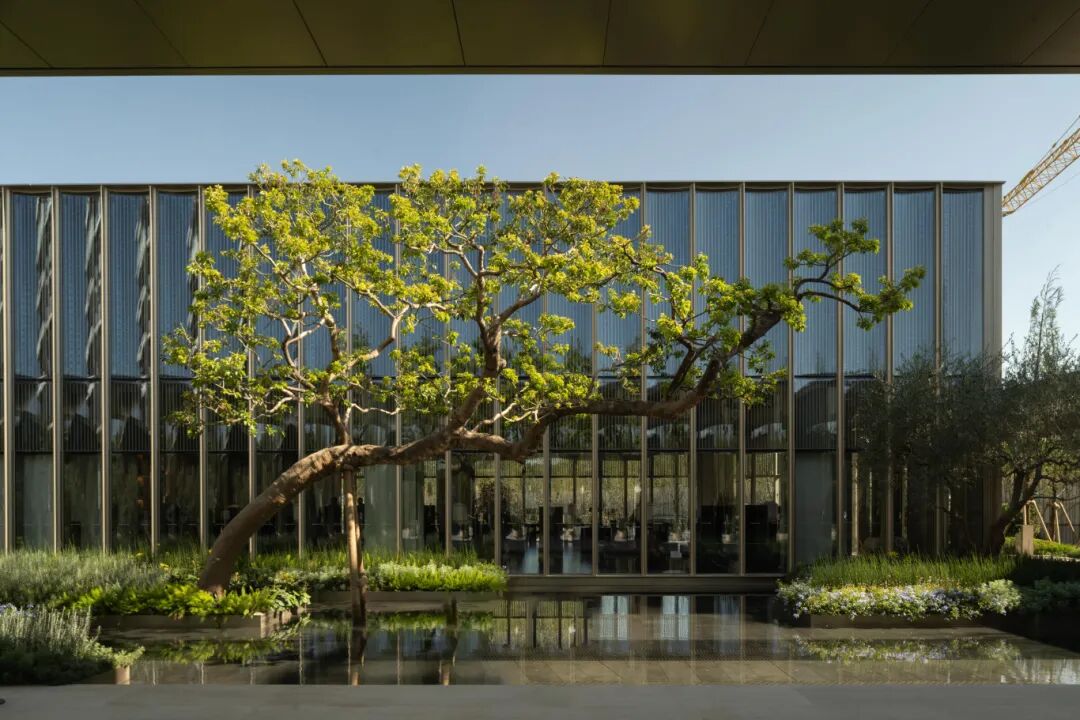 星合·晋墅丨中国苏州-27